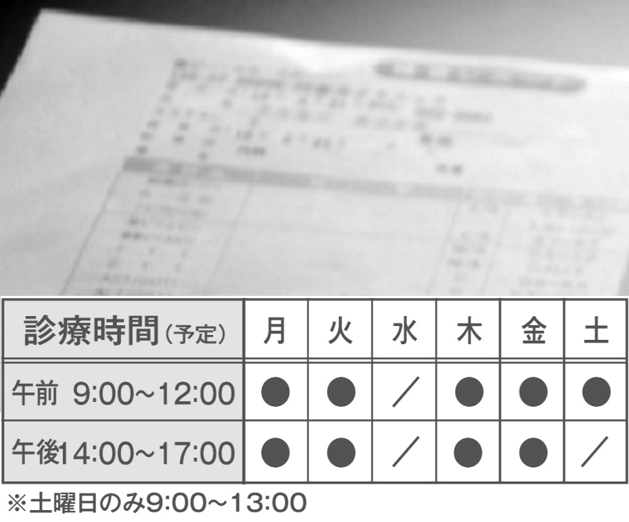 写真：診察風景